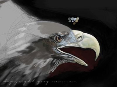 Eagle Progress One eagle illustration painting photoshop wildlife
