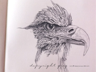 Eagle Progression black drawing graphite grey pencil sketch white
