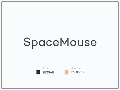 #Typehue Brandom Week 1: SpaceMouse brandom typehue