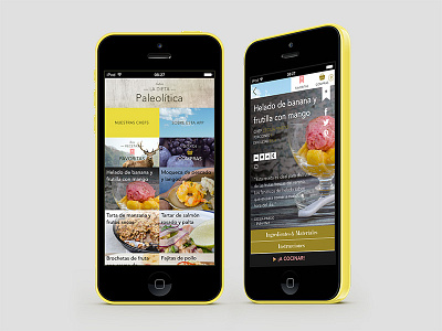 Cocina Paleo app app design flat design ios iphone iphone app