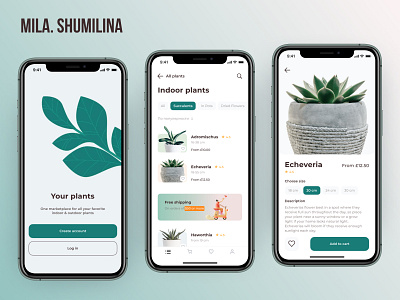 Flower store app UI design