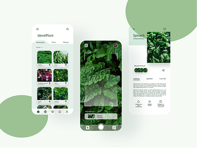 IdentiPlant App - Identify Your Plant By Scan 4slide app clean clearapp covid19 design figma fresh green icon identification minimal mobile plant plant app plants simple ui ux vegetable