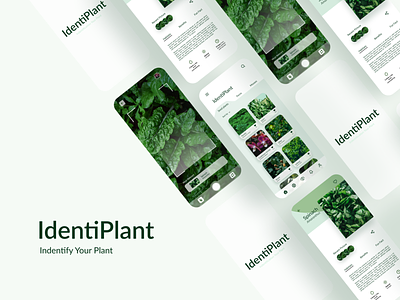 IdentiPlant App - Identify Your Plant app clean clearapp design figma fresh green icon identify identifyplant minimal mobile plant plant illustration plants simple ui ux vegetable