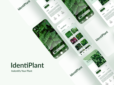 IdentiPlant App - Identify Your Plant