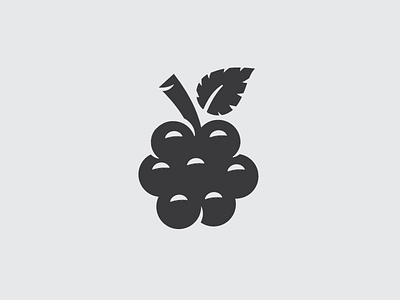 Elderberry branding elderberry fruit icon illustration kombucha