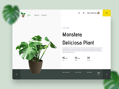 Plant selling web app app design illustration ui uidesign ux ux design uxdesign