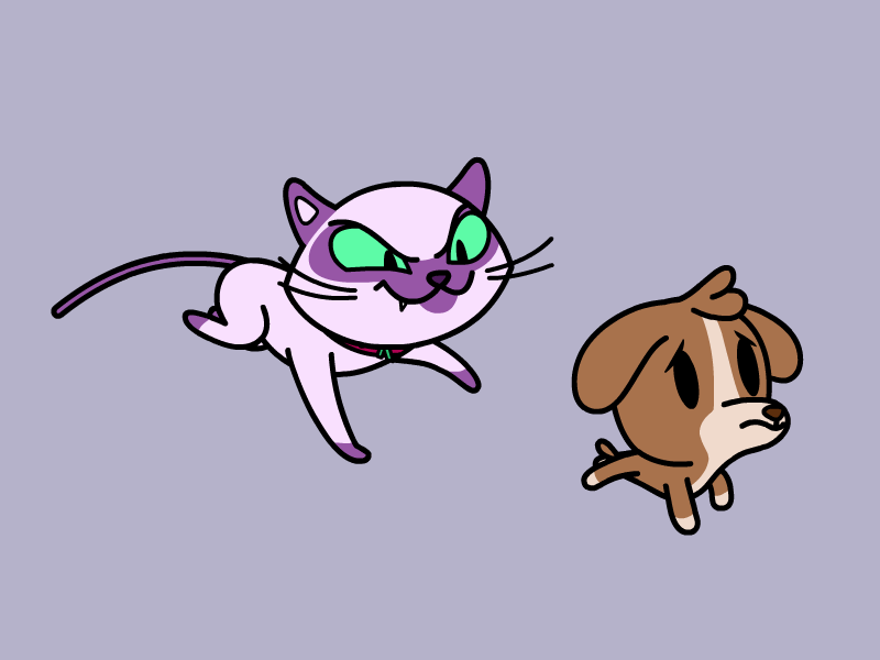 Cat vs Dog animation catanddog design gif