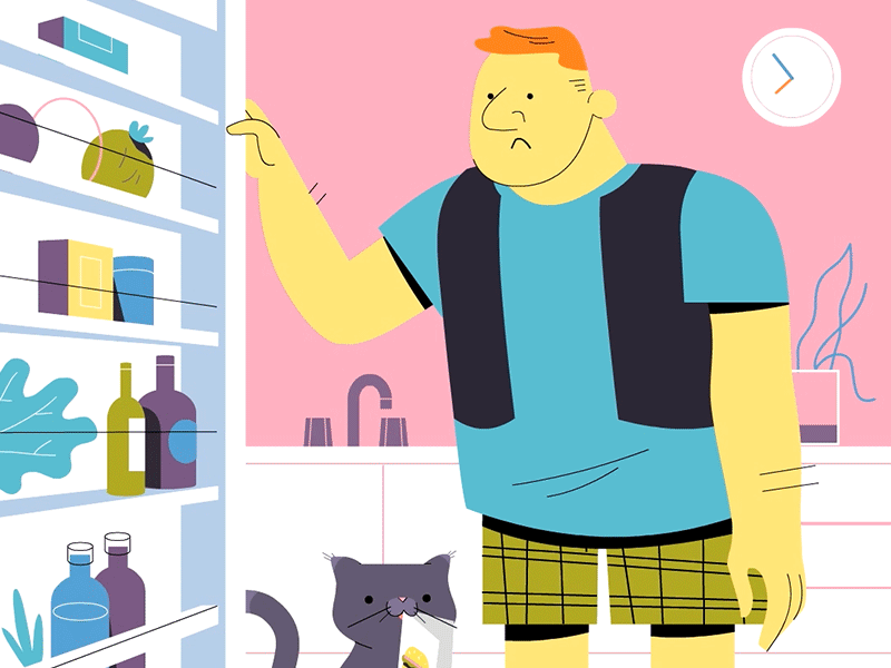 The Fridge animation cat colour design gif illustration