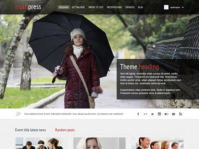 Multipress web design wordpress theme