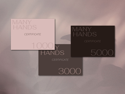 Сертификаты для салона красоты branding design logo графический дизайн лого логотип салона красоты печатная продукция сертификаты