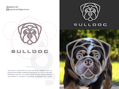 BULLDOG LINE ART agency branding bulldog dog graphic design icon logo pet vector