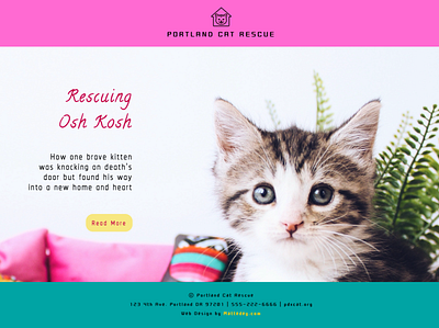 Cat Rescue Mock Home Page design typography webdesign