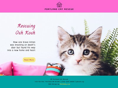 Cat Rescue Mock Home Page