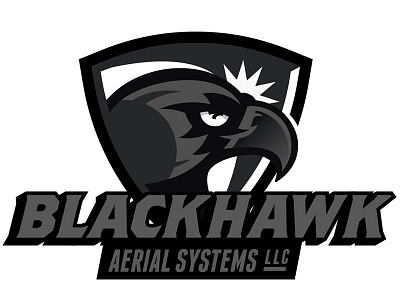 Blackhawk aerial bird black drone hawk security