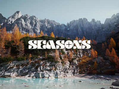Seasons Branding app branding illustration logo typography ui vector