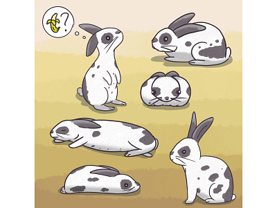 Creature Observation - Bunny Moods