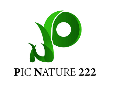 Pic Nature logo 3d logo branding design icon illustration logo logodesign minimalist logo ui vector