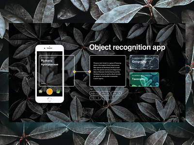 Object recognition app concept app grid interface knowledge minimal mobile object photo recognition tags ui ux