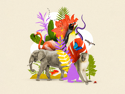 World Wildlife Day⁠ 2022 animal animals collage collage art collage digital collage maker collageart colors design elephant graphic graphicdesign illustration leaf monkey nature plants wild life wwd