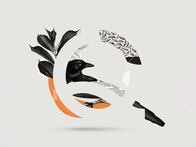 Q 36days 36daysoftype abstract bird black bird collage collage art collage digital collage maker collageart daily design graphic graphicdesign illustration letter lettering type typo typography