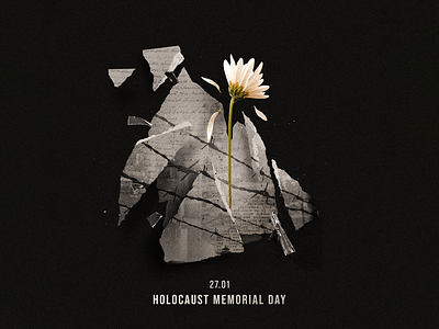 Holocaust Memorial Day collage collage art collage digital collage maker collageart day design graphic graphicdesign holocaust illustration memorial neverforget