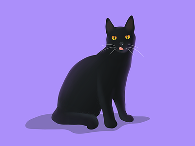 Black Cat black cat drawing illustration ipad procreate