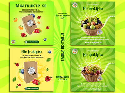 Professional Social  Media Post Design for Fruit Business