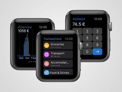 Spendary Finance App for watchOS apple watch expnenses finance finance app income manage finance overview track expenses track income transactions wallets