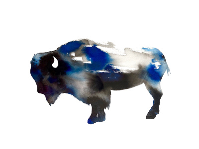 Bison bison fade ink peaceful watercolour