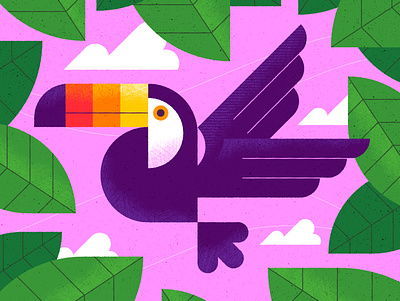 Toucan animal animals bird character graphic illustration texture toucan vector vector illustration wildlife