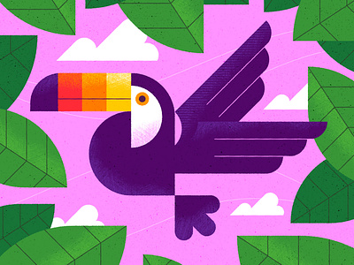 Toucan animal animals bird character graphic illustration texture toucan vector vector illustration wildlife