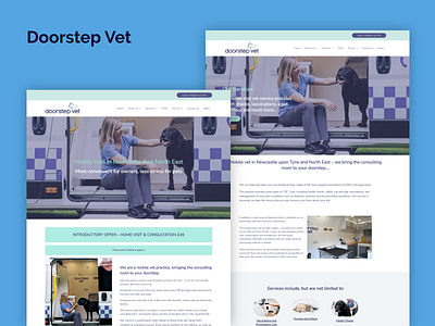 Doorstep Vet gutenberg startup web design web development wordpress