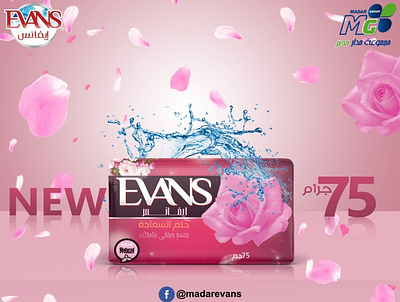 Social Media Design basata basata graphics branding design evans evans soap social media socialmedia