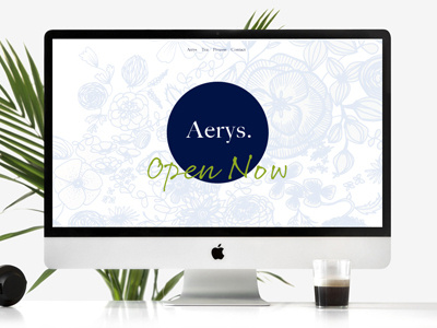 Aerys - web illustration
