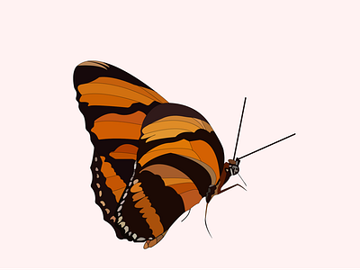 Mariposa 1 illustration logo vector