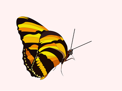 Mariposa 2 illustration logo vector