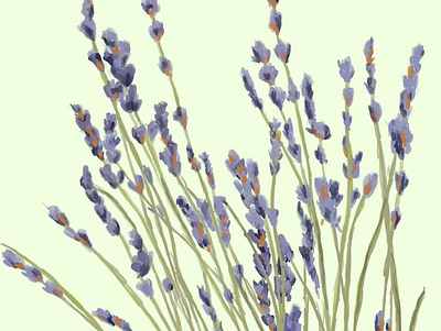 Lavender Garden cover cover artwork cover design design drawing illustration