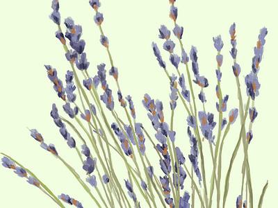 Lavender Garden cover cover artwork cover design design drawing illustration