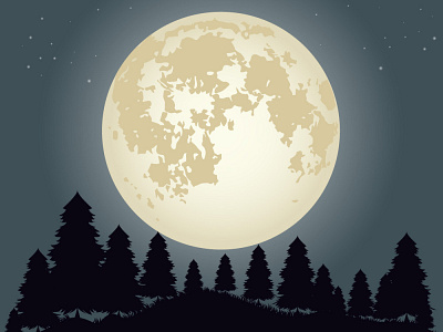 moon night illustration vector