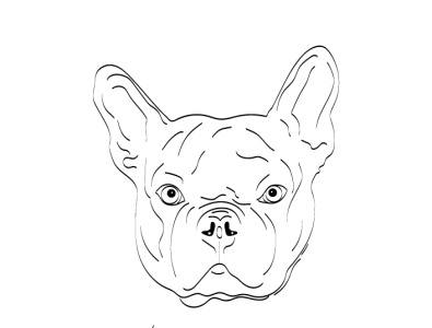 vector pug graphic design illustration vector