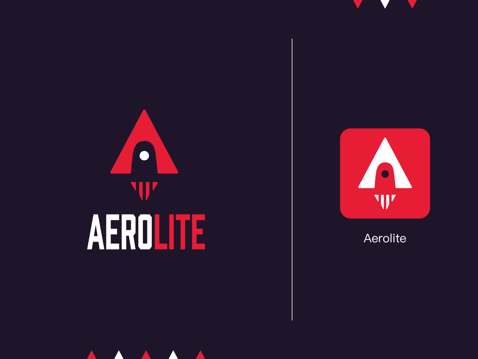 Rocketship Logo | Aerolite | DLC01 by Ziii on Dribbble