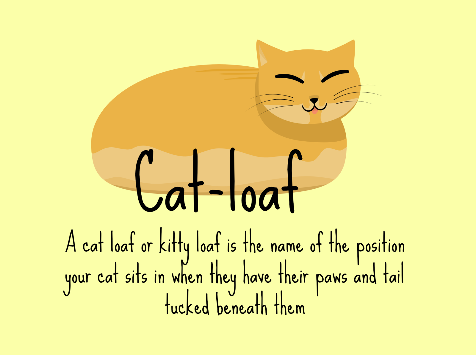 Cat Loaf By Justin Lawrence On Dribbble