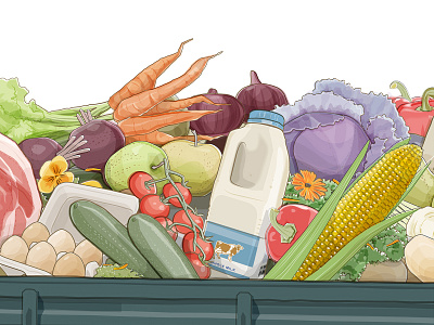 Organic Produce Illustration branding campaign design drawing fruit illustration meat milk organic produce vector veg