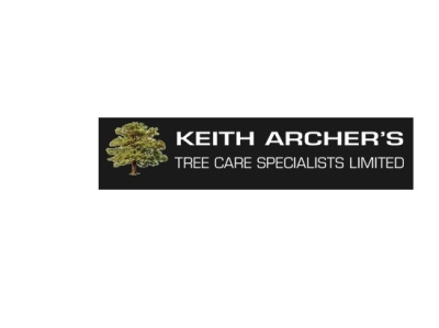 Tree Surgeons South London stump grinding tree care tree felling tree maintenance tree surgeon tree surgeons lewisham tree surgeons lewisham tree surgery tree work