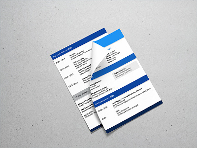 CV design business curriculum cv design flat google graphic material vitae