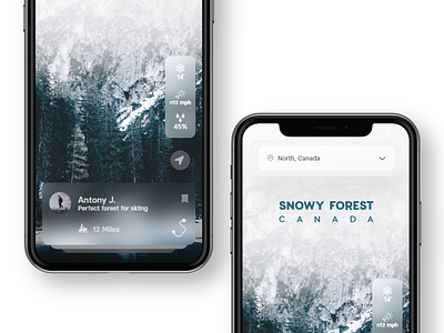 Skiing Mountains adobe xd app card glass landscape mobile montain skiing skin snow travel travel app ui ux weather