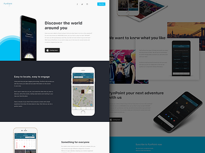 Pynpoint Landing app landing page ui ux web