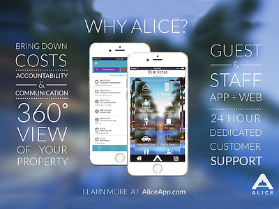 Alice Magazine Ad advertising graphic design marketing