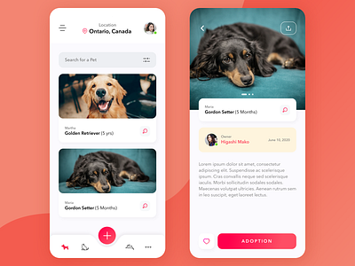 Pets Adoption - Mobile App Concept