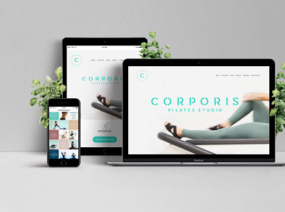 Corporis branding and web design branding logo pilates studio visualidentity webdesign webdesigner website design